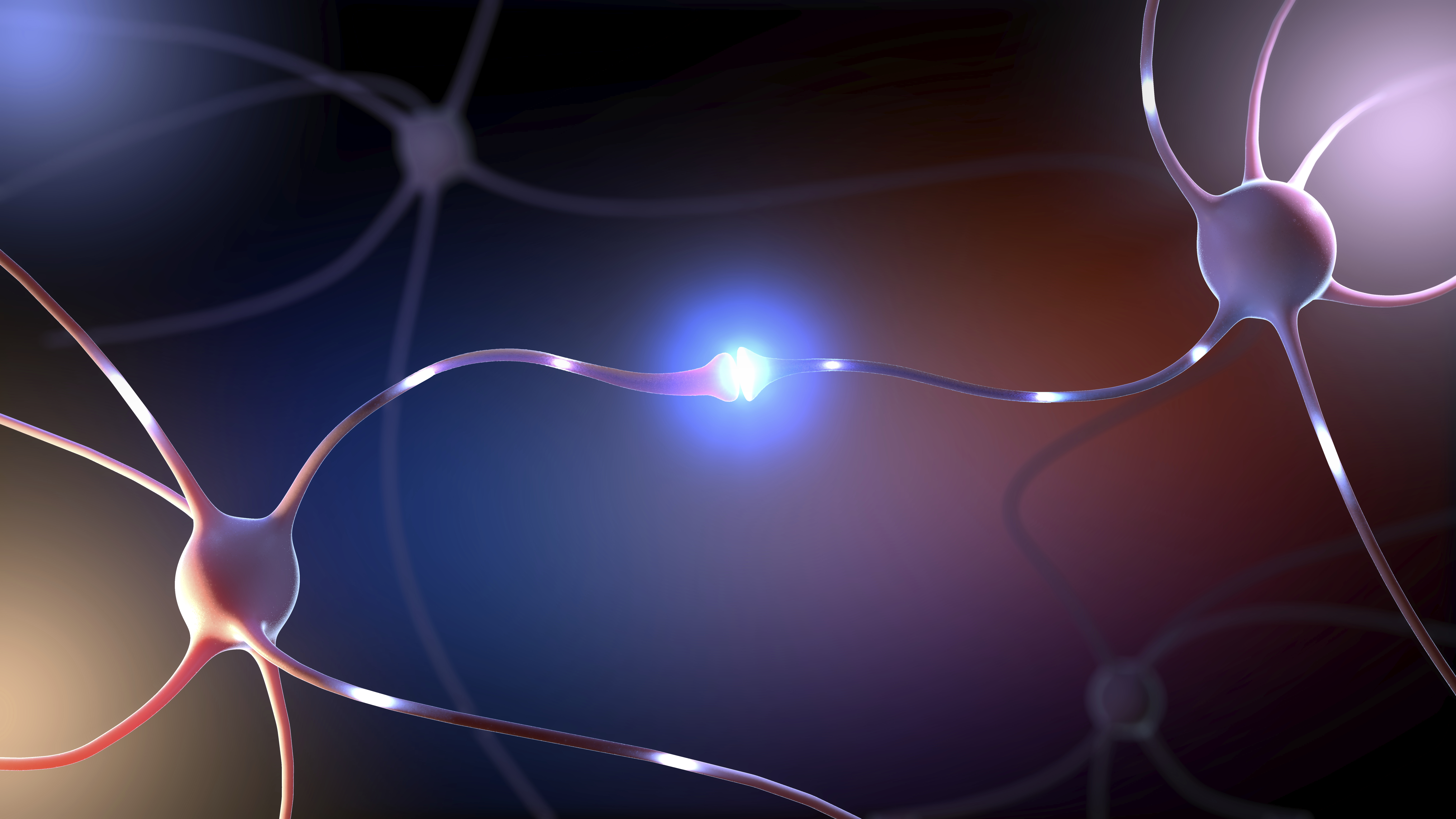 Illustration of nerve cells showing synapse