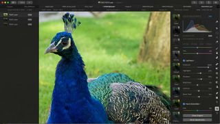 Use color adjustments nondestructively with raw image layers.