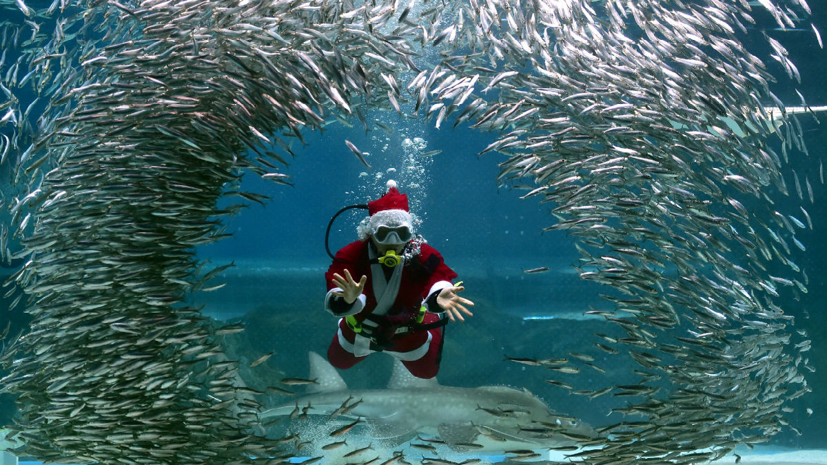 5-christmas.jpg