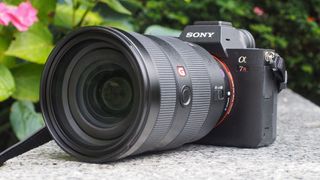 Best camera for food photography: Sony A7R IV
