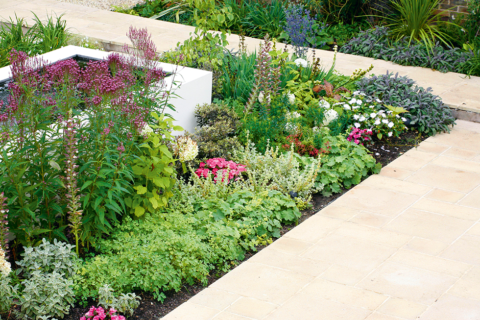 a raised border full of bright flowers and colourful planting