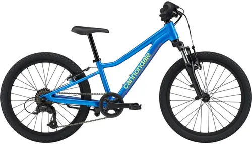 Trail 20" Bike