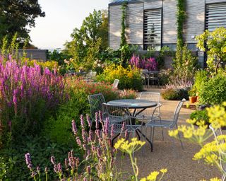 RHS Wisley world food garden design in summer