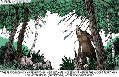 Political cartoon U.S. bigfoot searching for voter fraud not real midterm election