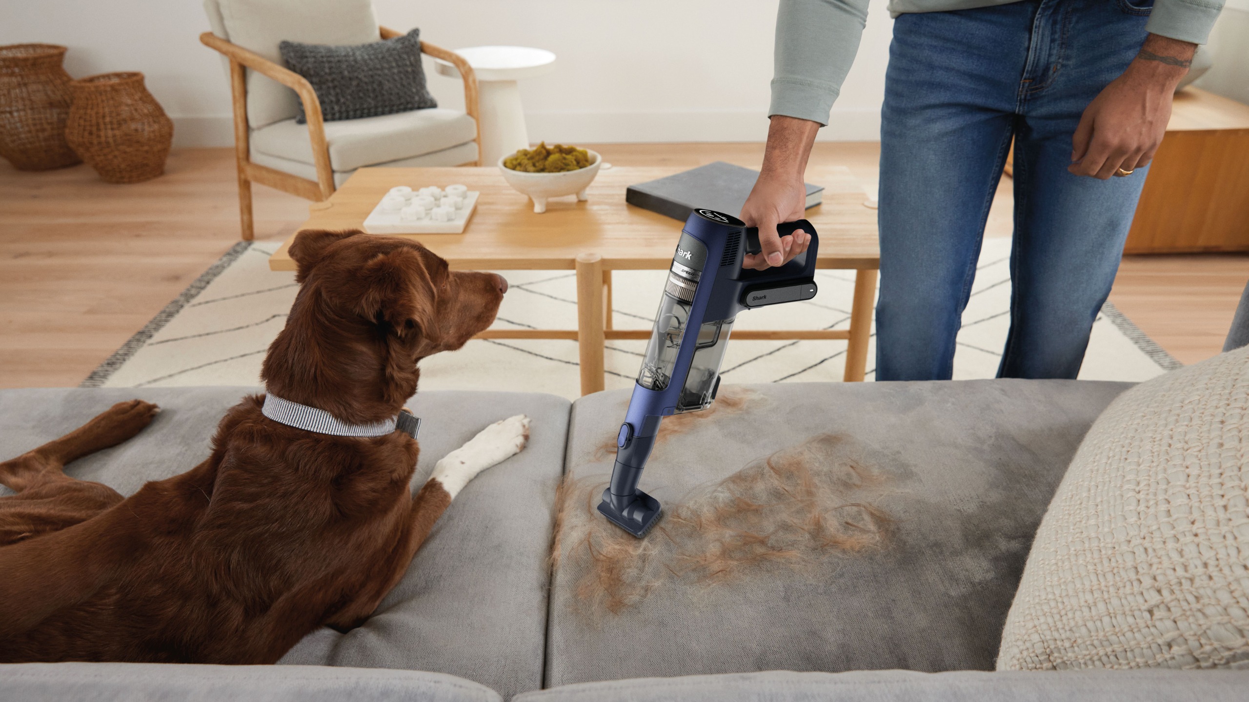 Man and dog with Shark vacuum