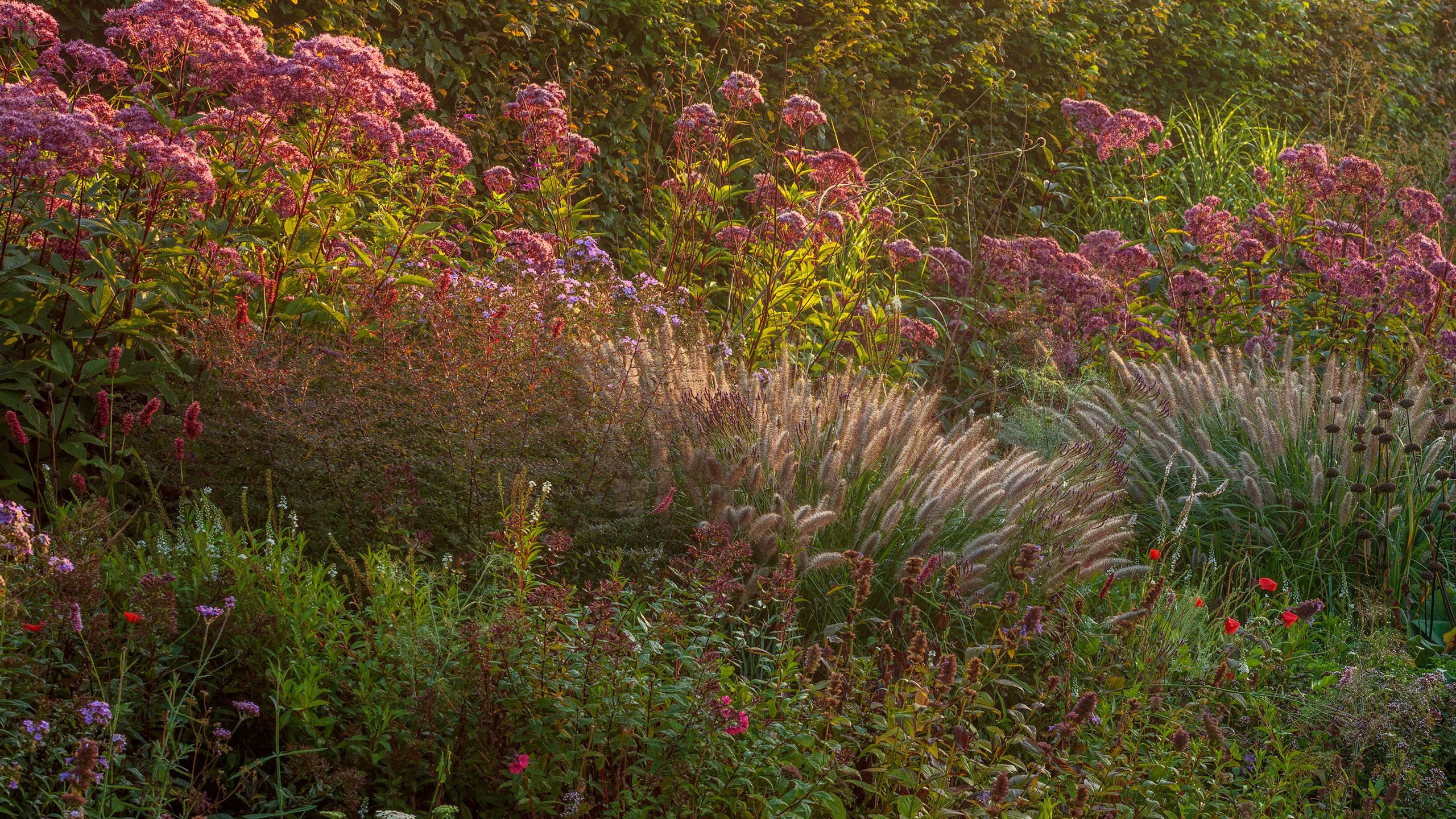 5 Design Tricks for Autumn Gardens to Make Them Look Amazing