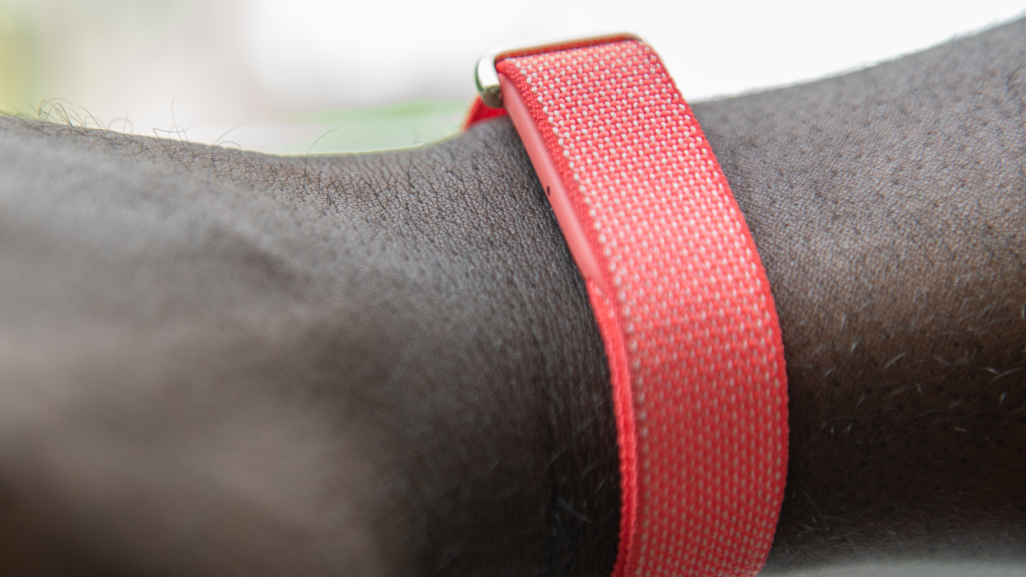 Fitbit Air secured around a wrist