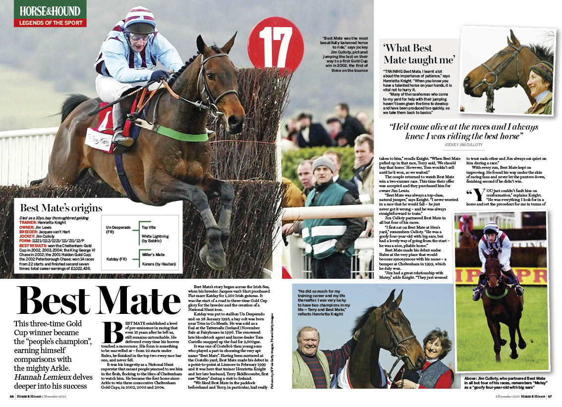 FT 4pp Horse legend Best Mate