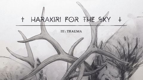 Harakiri For The Sky album cover
