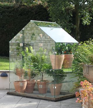 Modern greenhouse design ideas featuring a seamless glasshouse with terracotta potted trees inside, on a gray paved patio area.