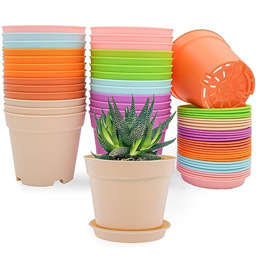 Swinduck 4 Inch Plant Pots, 28 Pack Small Plastic Planters With Drainage Holes and Saucers for Flowers Plants, Succulents, Seed Starting Pots, Colorful
