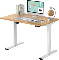 Flexispot EC1 48" Electric Adjustable Standing Desk:Now $180