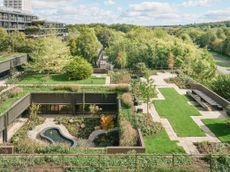 Plant by Knight Stokoe, a brutalist garden revived in basingstoke featuring cascading planted terraces