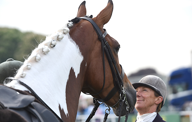 The look of love: Jayne Ross and KBF Crescendo before the coloured ridden championship