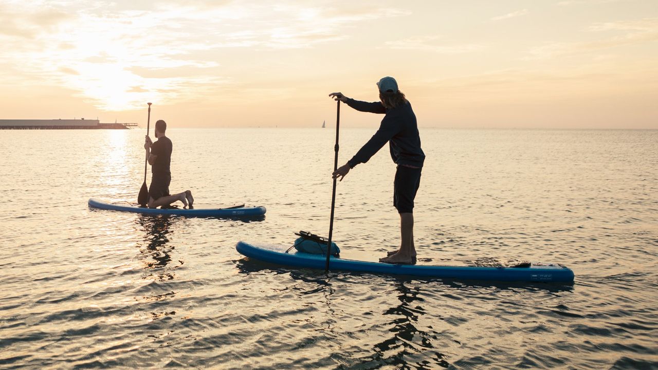 Two people paddle boarding