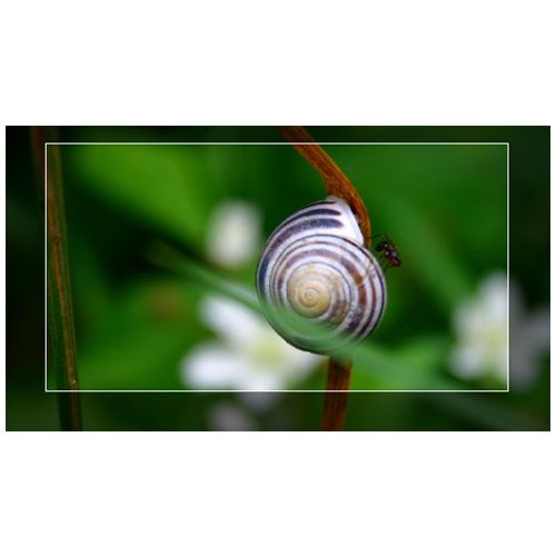 PhotoComplete image: You can crop the image visually.