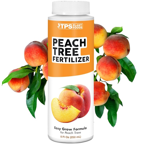 Amazon peach tree fertilizer