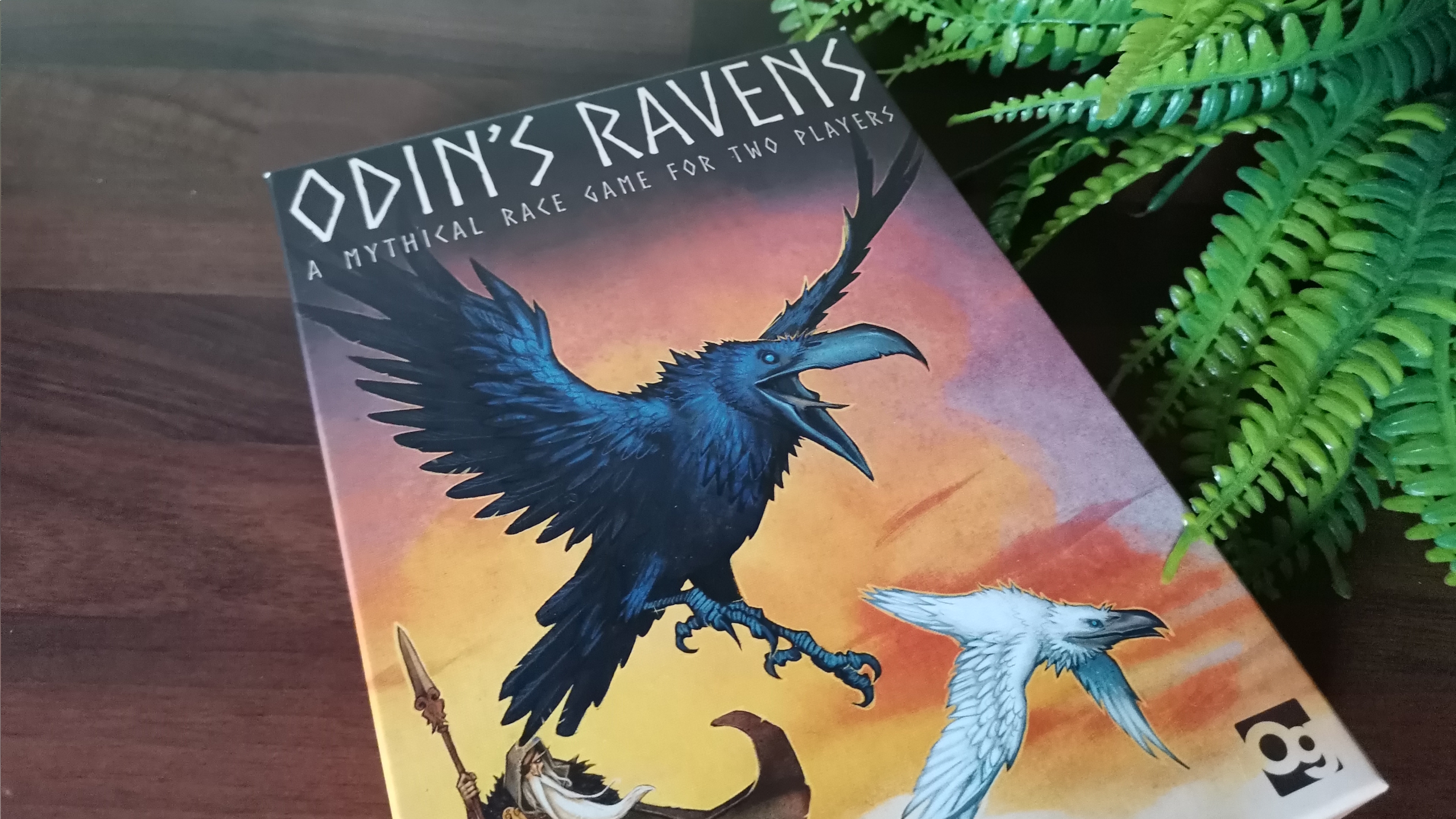 Odin's Ravens box laid out on a wooden surface near a fake plant