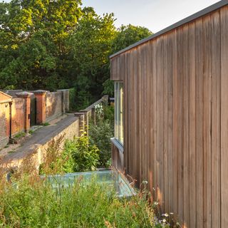 contemporary timber clad flat roof extension