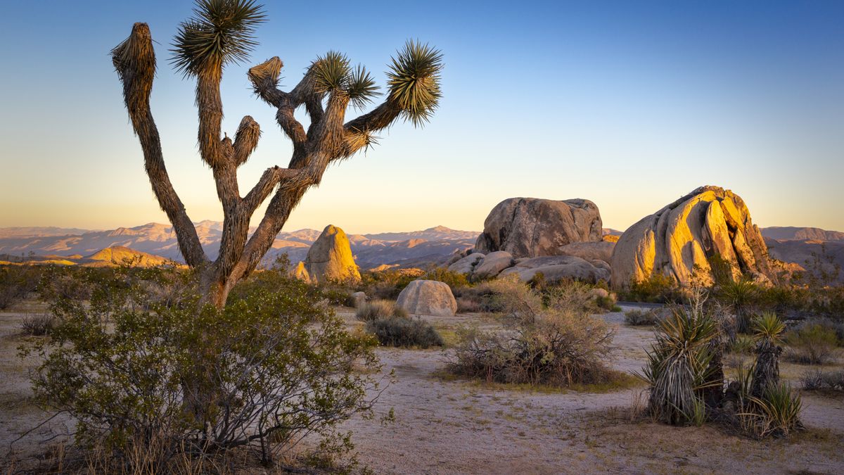 10 best National Parks to visit in winter: escape the crowds and ...