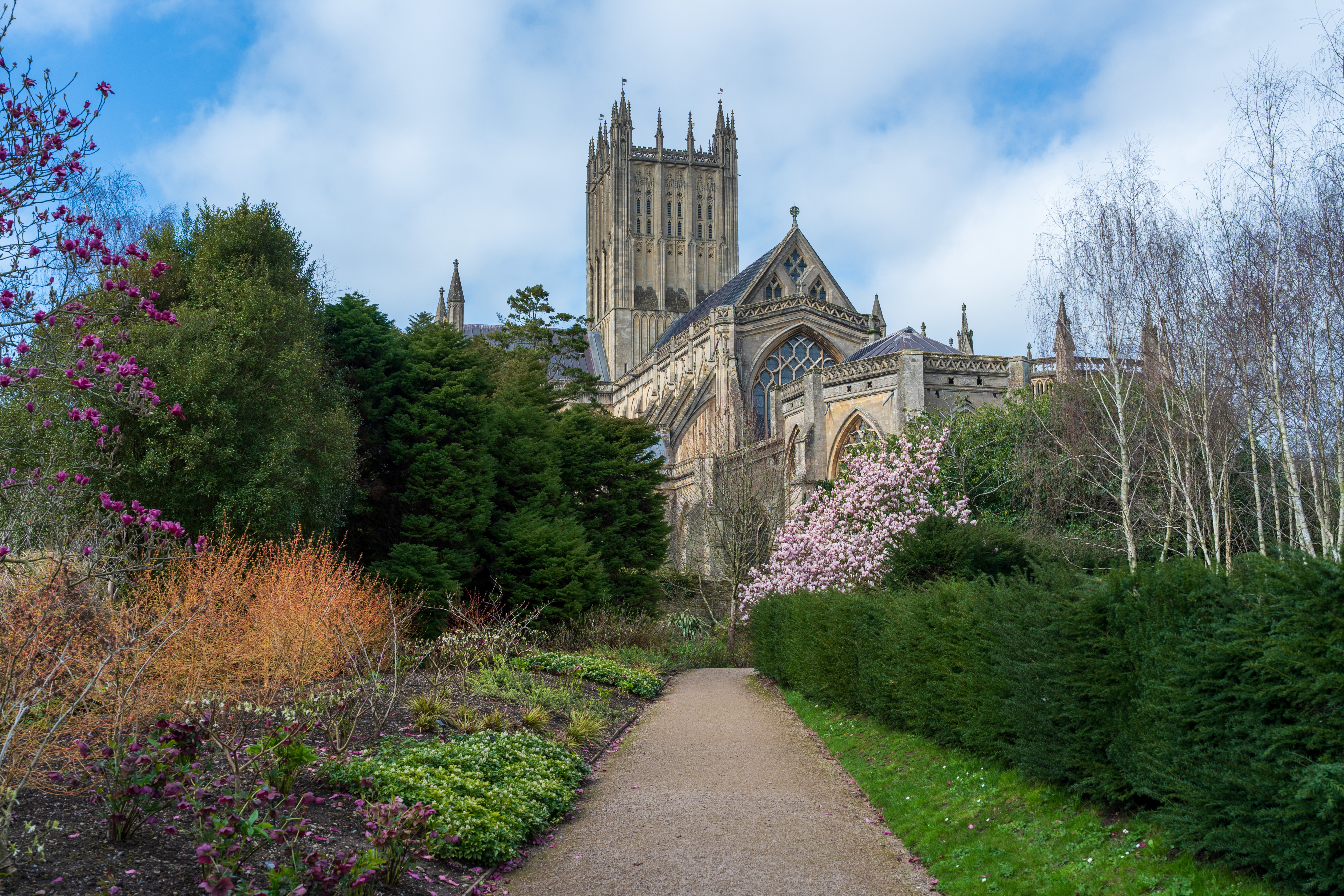 Viltrox AF 35mm f/1.8 Evo II sample shot