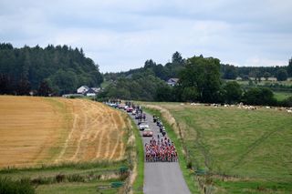 The peloton on stage five of the Tour de France Femmes 2024