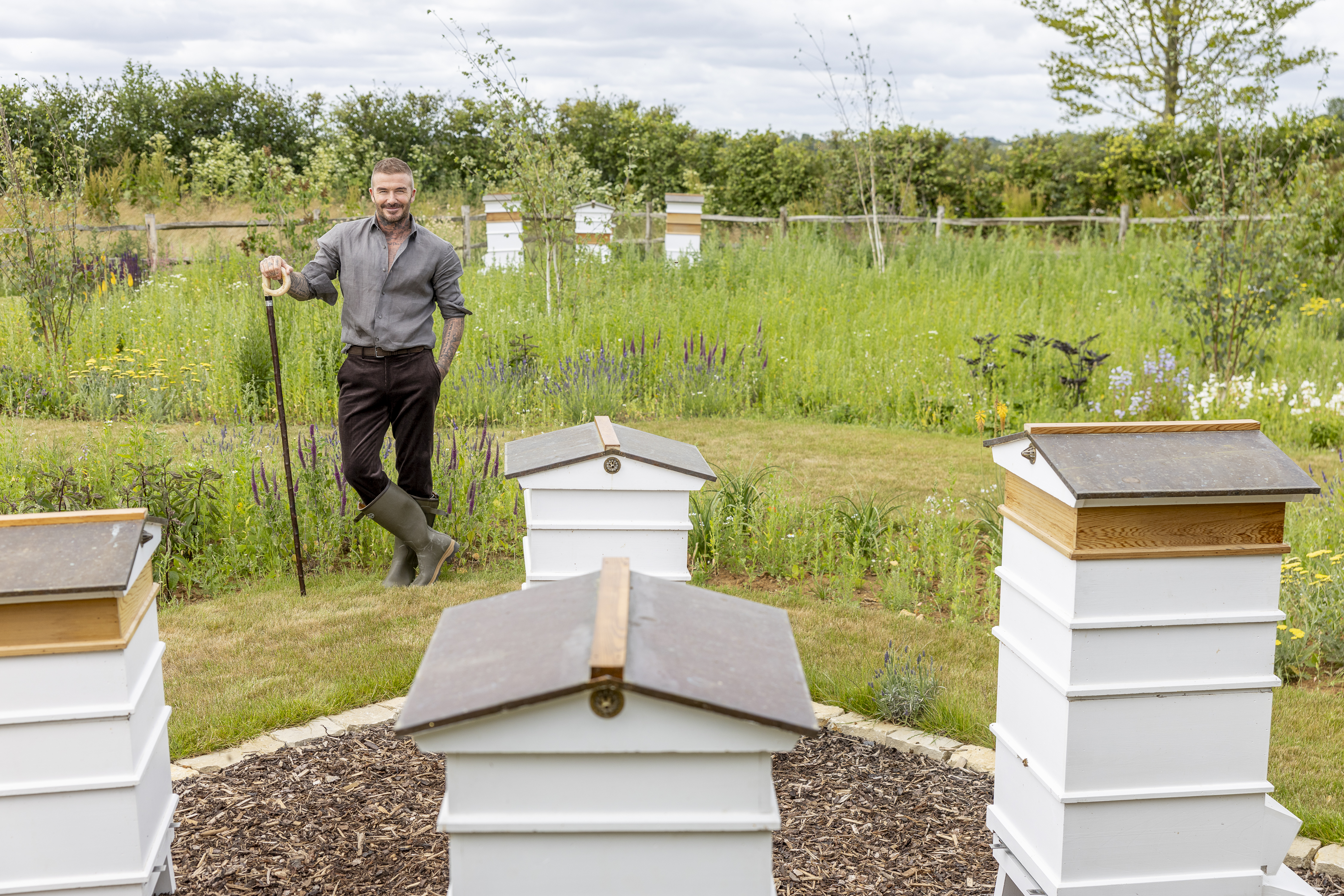 David Beckham in a grey shirt standing behind four of his white beehives