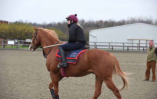 Point-to-Point training in the menage at the British Racing School in Newmarket in Suffolk, UK on the 3rd December 2015