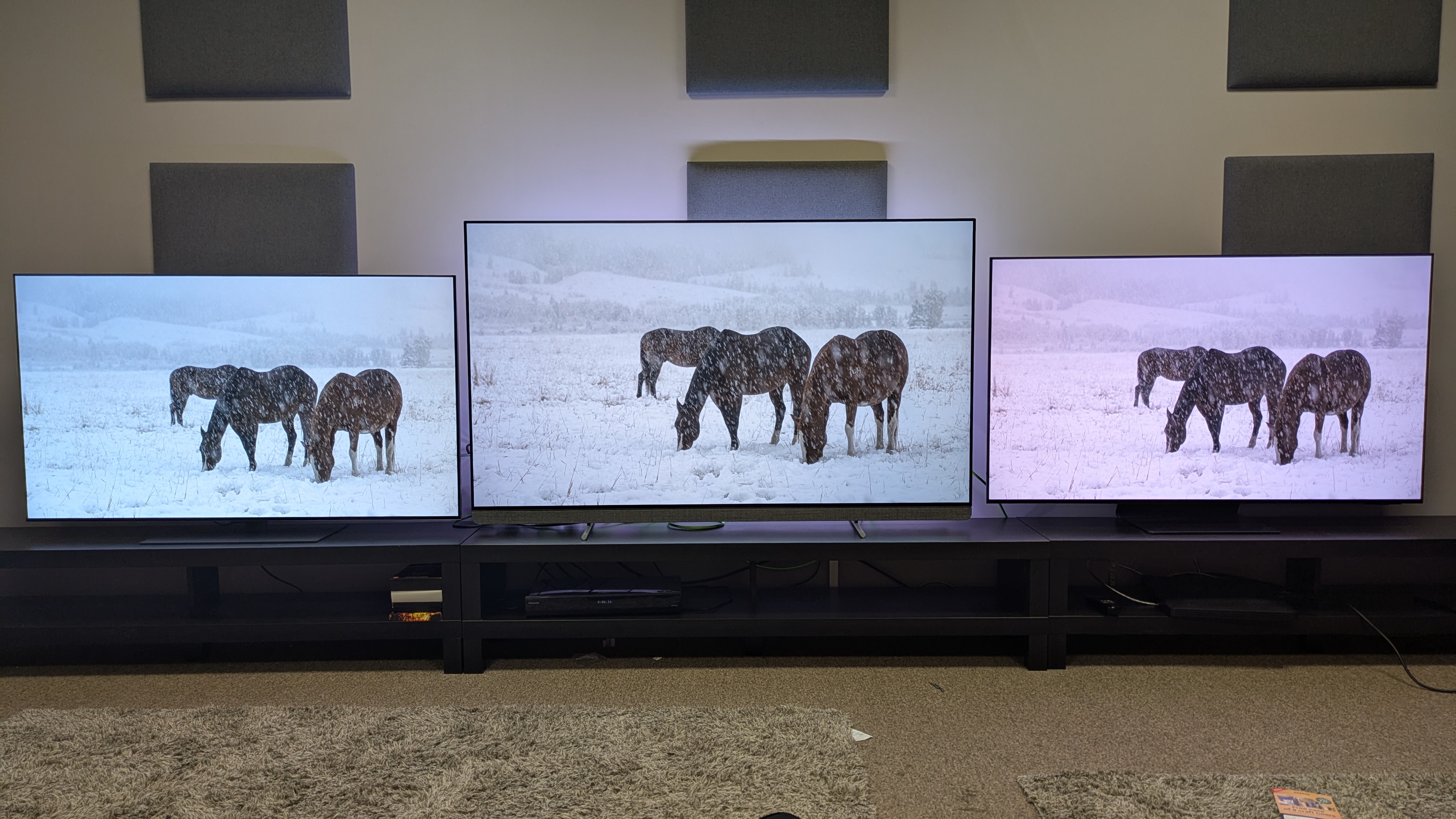 LG G5 (left) vs Philips OLED910 (middle) vs Samsung S95F (right) showing horses in snow on screen