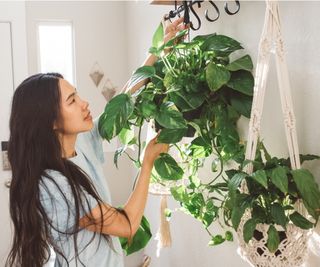 Woman caring for hanging plants