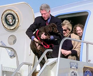 US President Bill Clinton carries his chocolate labrador, named "Buddy", down the steps of Air Force One, followed by First Lady Hillary Rodham Clinton and daughter Chelsea. Photo by Stephen Jaffe /AFP/Getty Images.