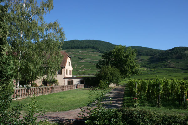 The View from Weinbach