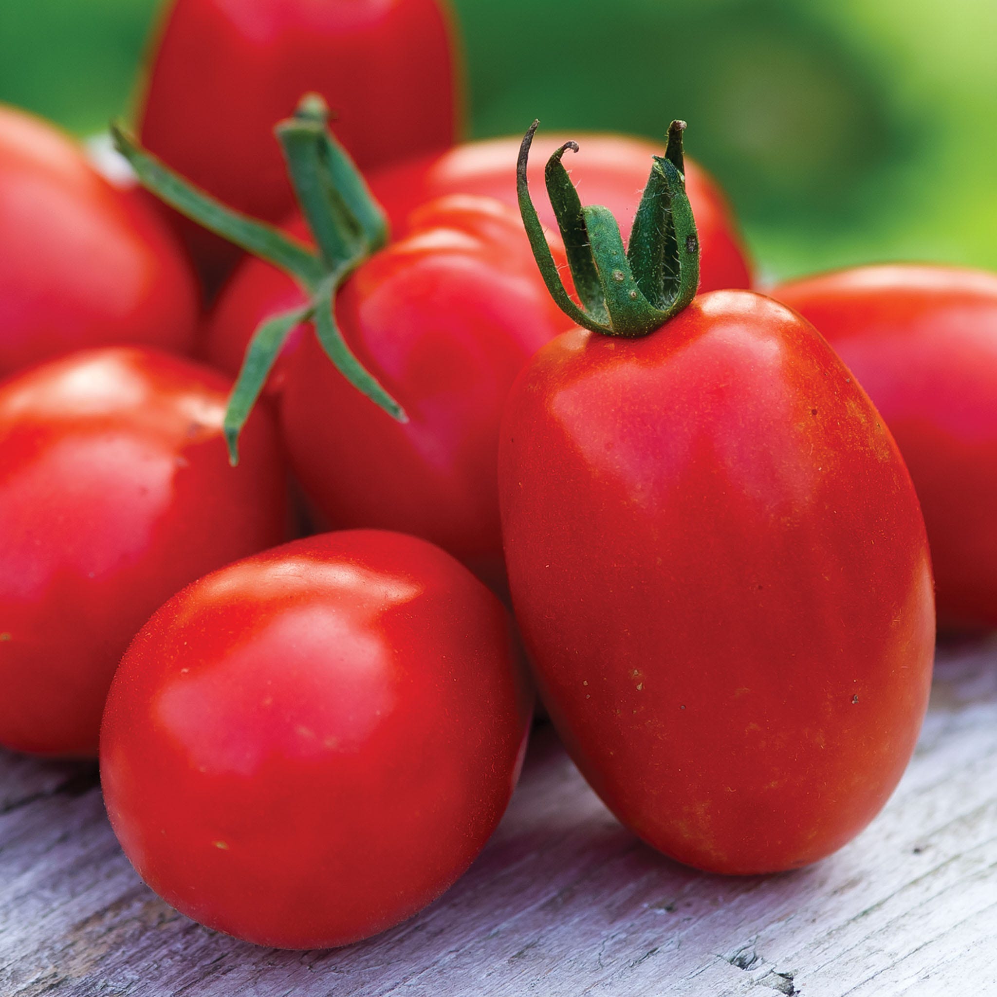 Mighty Sweet Tomato Seeds
