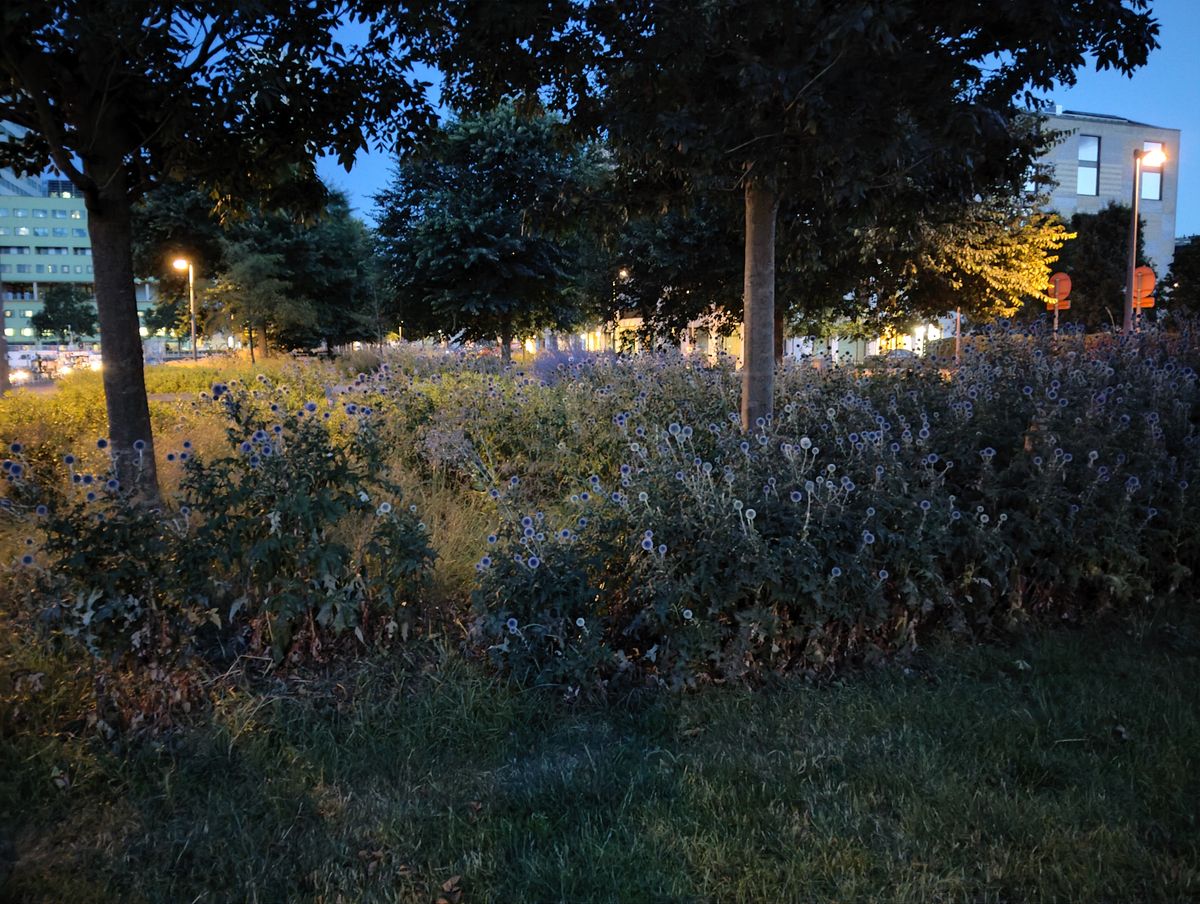 nokia g42 camera