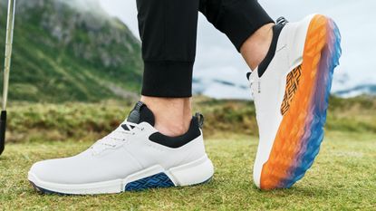 Ecco golf shoes store online store