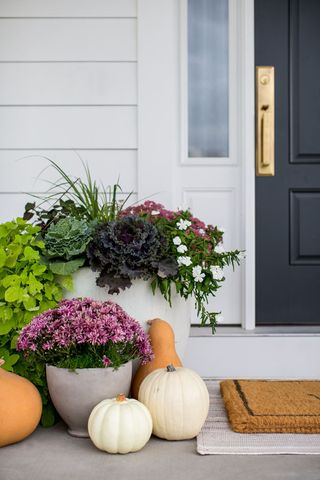 front porch with pumpkins and potted plants on step