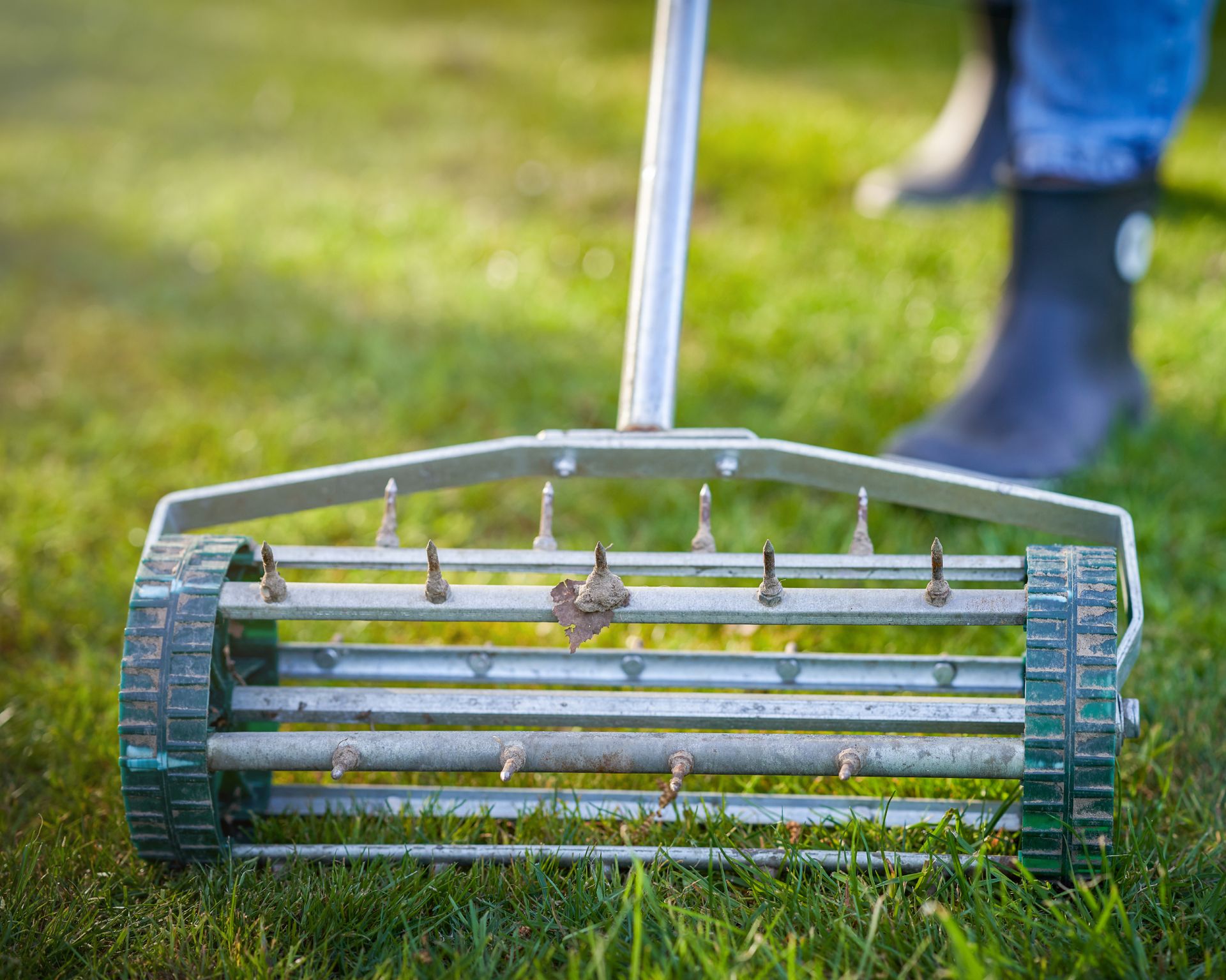 Picture of grass aerator on the green lawn