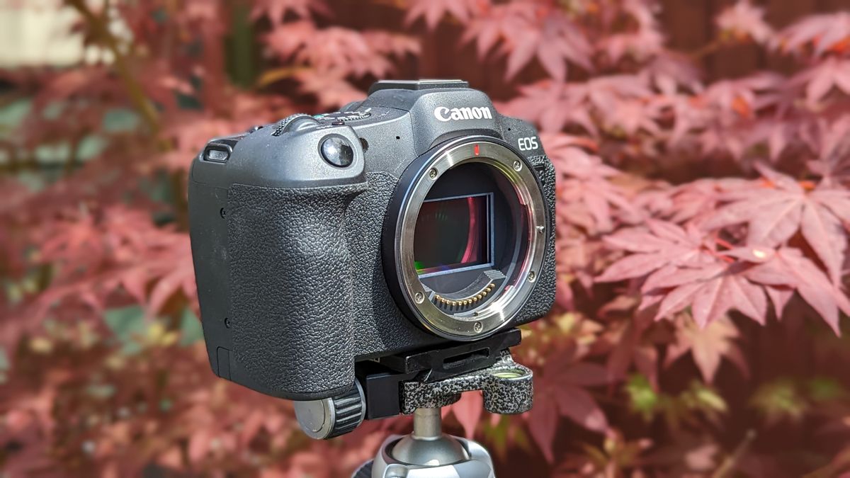 The Canon EOS R8 three quarter view