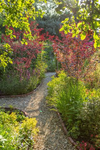 profuse planting around snaking gravel paths in a cottage garden