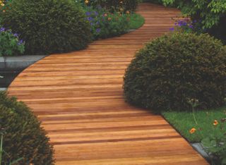 Wooden garden walkway with round shrubs