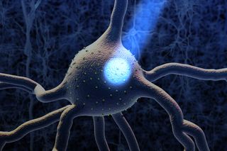 Light hits light sensitive proteins activating neurons