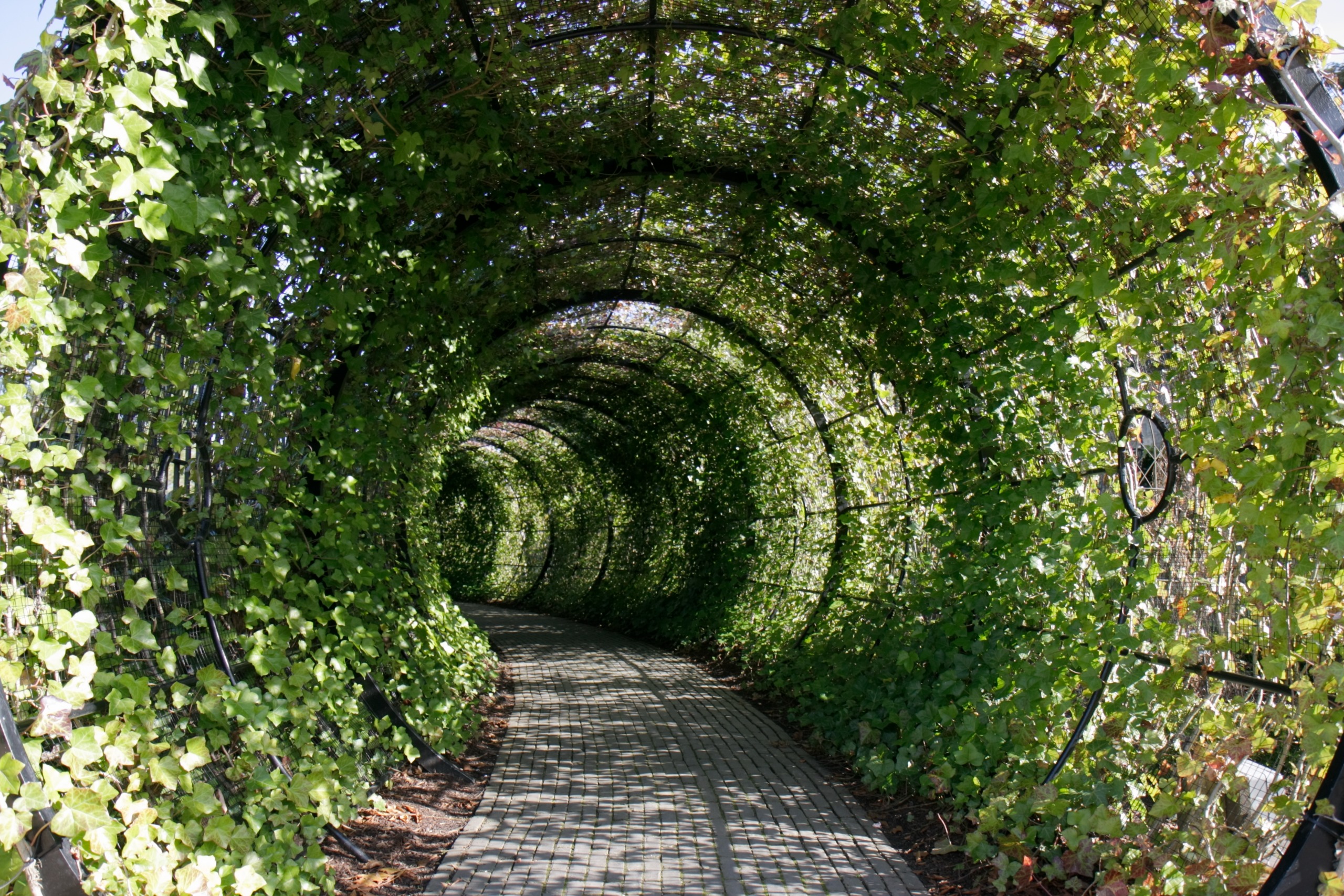 The poison tunnel at The Alnwick Garden in Northumberland