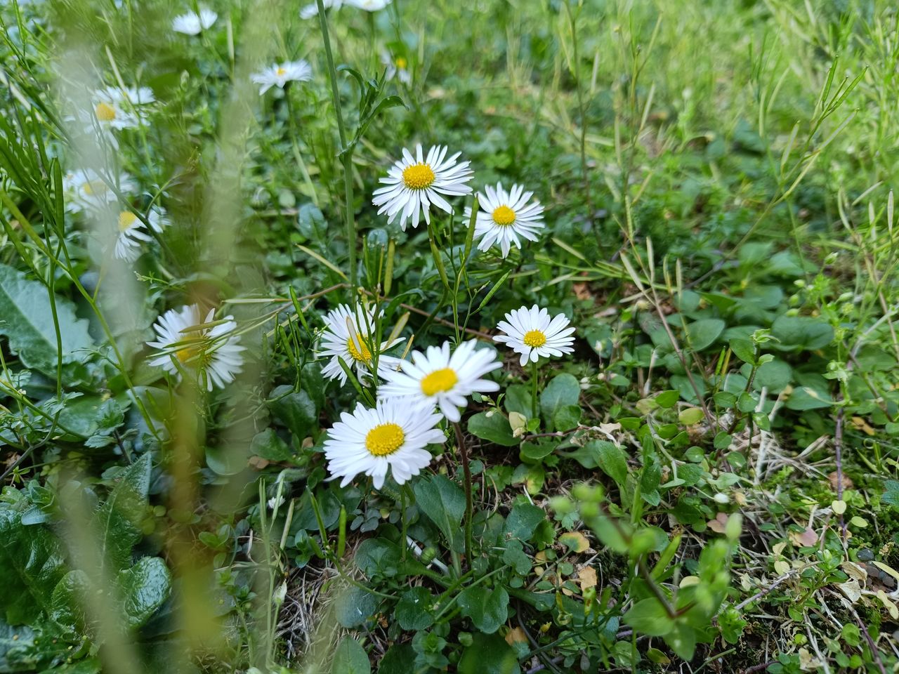 Redmi Note 12 Pro 5G