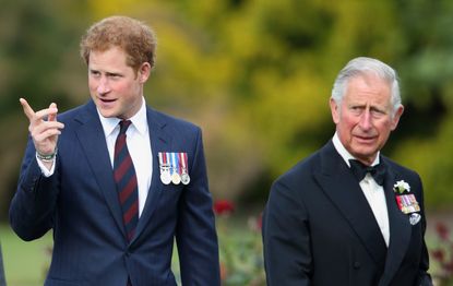 Prince Harry video calls Prince Charles