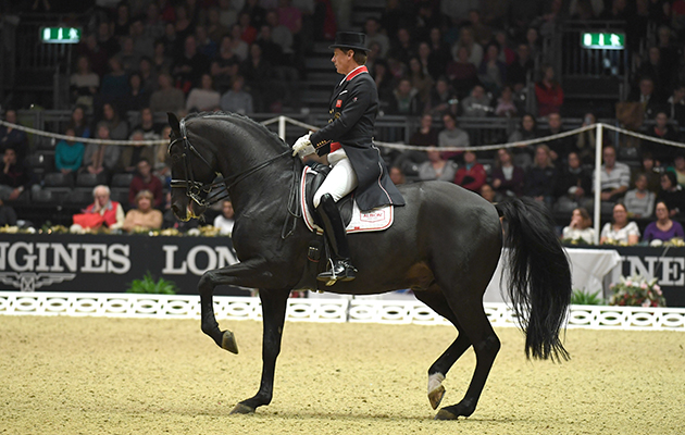 Quite some debut: Britain’s Emile Faurie finished in an agonisingly close second behind Patrik Kittel in the grand prix freestyle in what was his first ever grand prix freestyle on the stallion Delatio