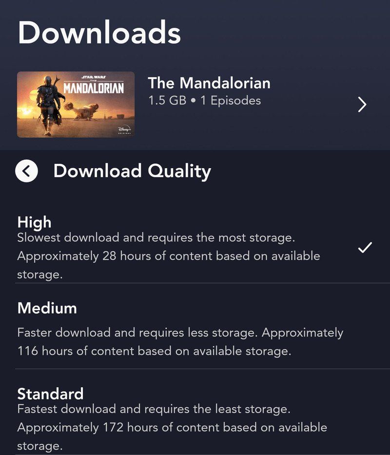 Disney+ high download example