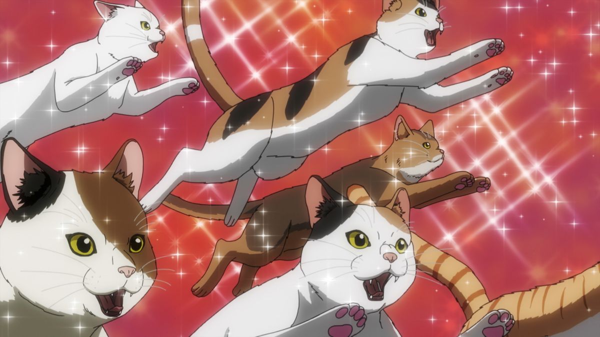 Night Of The Living Dead Is About To Get Its Wildest Remake Yet, And I Can't Get Over How Cuddly Cats Are Involved
