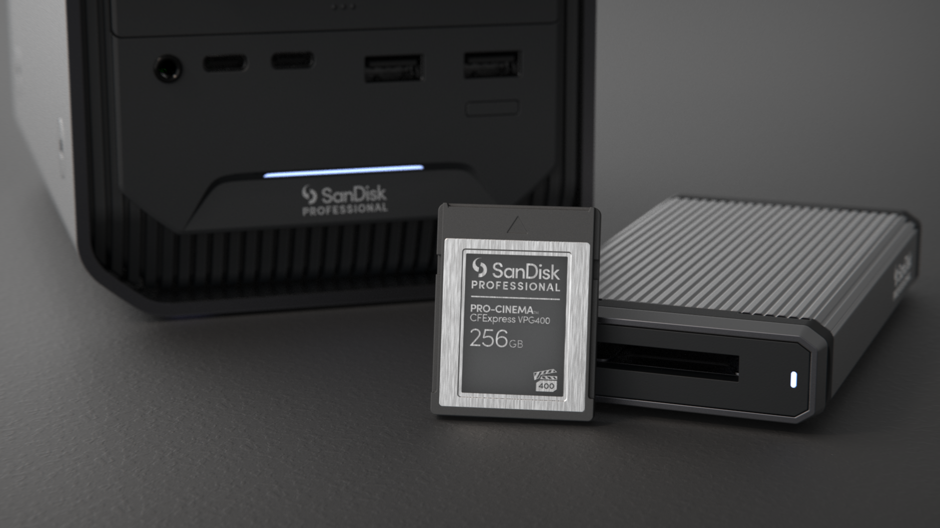 Sandisk Professional