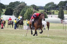 Tent_pegging.jpg