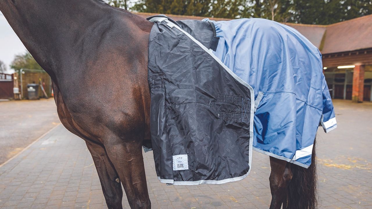 Derby House Elite detach-a-neck turnout review